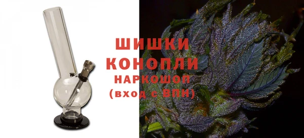 шишки Абаза
