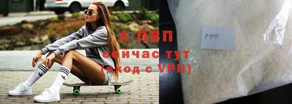 стаф Абинск