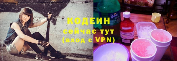 шишки Абаза