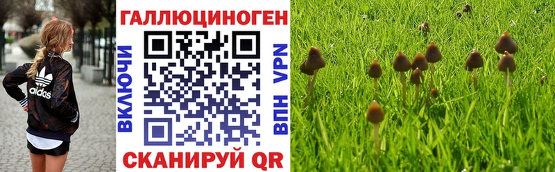 Галлюциногенные грибы ЛСД  ссылка на мегу ссылка  Нахабино  наркошоп 